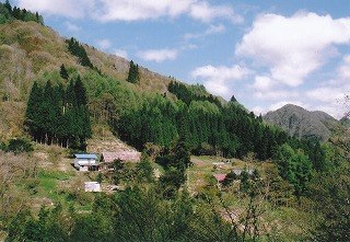 �e��