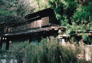 白岩